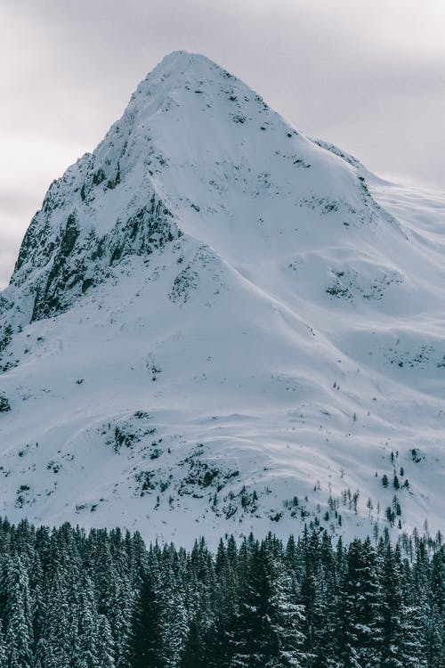 有关ICEE, 下雪, 下雪的天气的免费素材图片