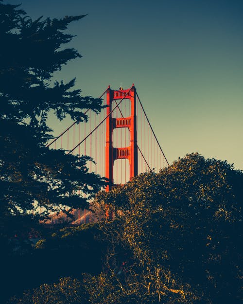 有关交通系统, 加州的金门大桥, 吊桥的免费素材图片