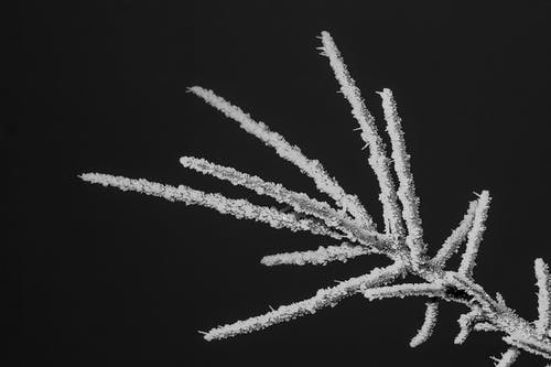 有关冬季, 冰, 冷的免费素材图片