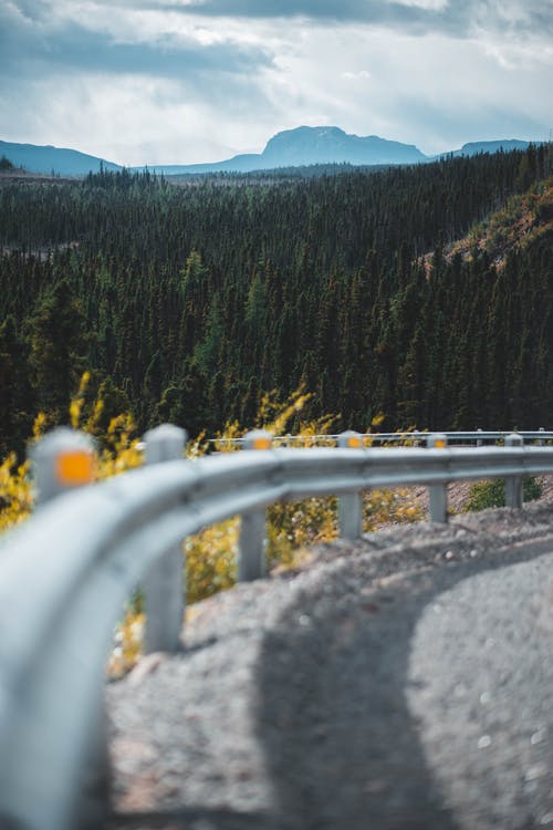 山上的绿色松树 · 免费素材图片