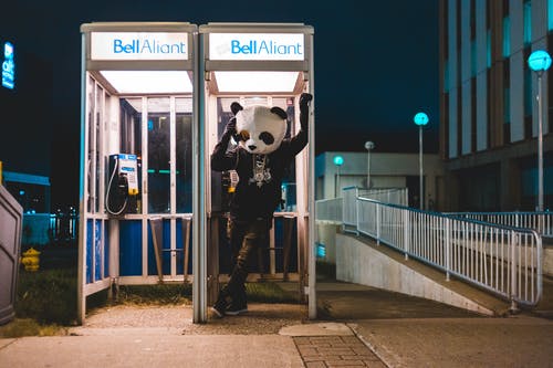 黑色和白色熊猫服装的人在夜间站在公用电话亭 · 免费素材图片
