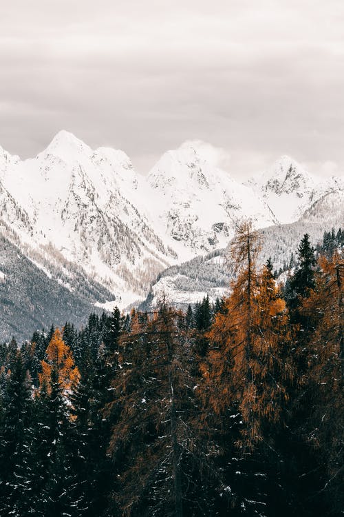 有关ICEE, 下雪, 下雪的天气的免费素材图片