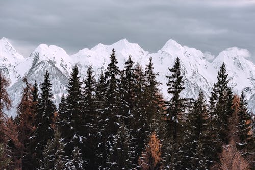 有关ICEE, 下雪, 下雪的天气的免费素材图片