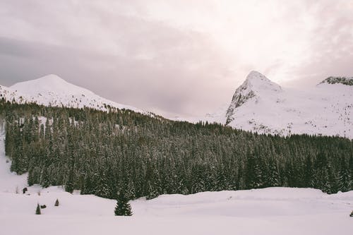 有关4k 桌面, ICEE, 下雪的免费素材图片