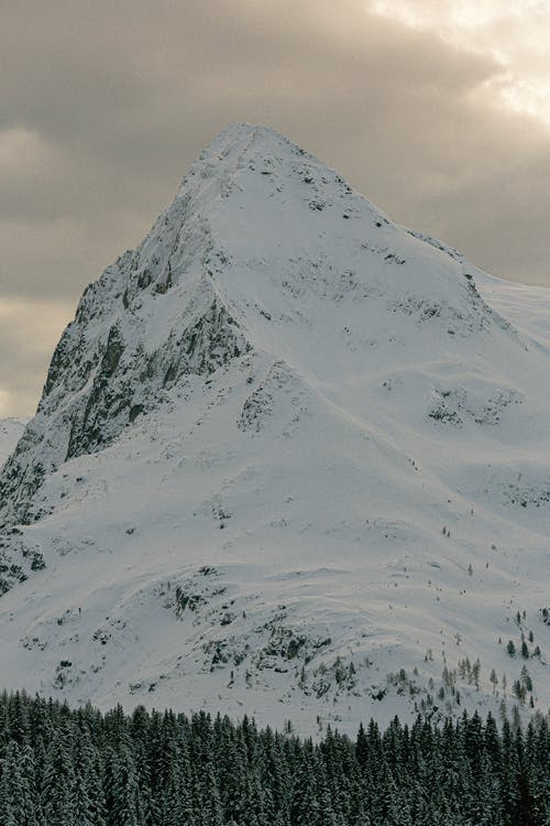 有关4k 桌面, ICEE, 下雪的免费素材图片