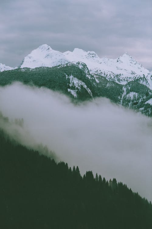 有关ICEE, 下雪, 下雪的天气的免费素材图片
