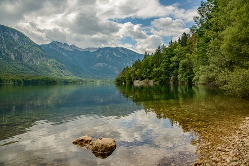有关享受, 假日, 公园的免费素材图片