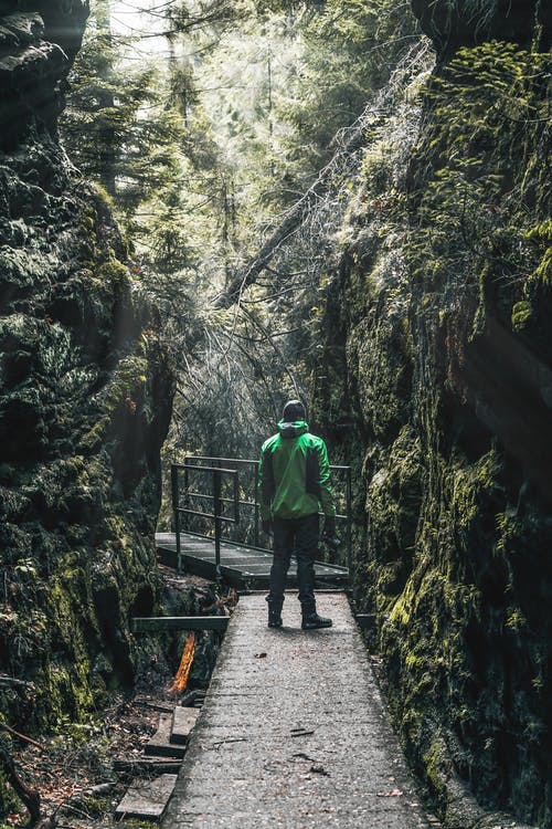 有关冒险, 垂直拍摄, 天性的免费素材图片