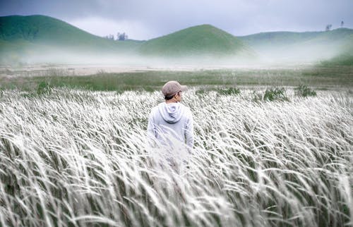 有关下田, 丘陵, 人的免费素材图片