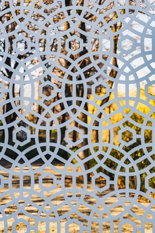 有关下落, 充满活力, 公园的免费素材图片