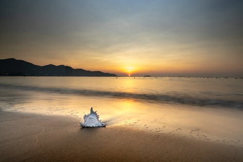 有关剪影, 地平線, 夏天的免费素材图片