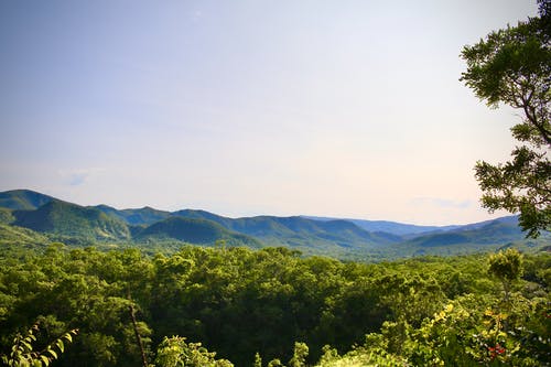 有关丘陵, 夏天, 天性的免费素材图片