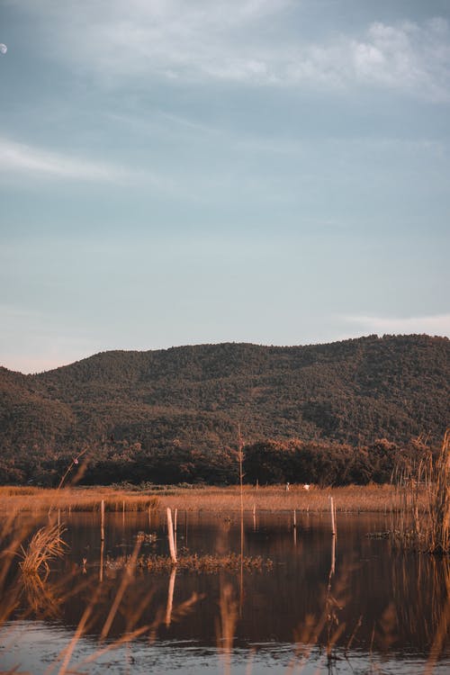 有关冷静, 反射, 和平的免费素材图片