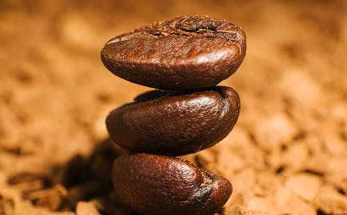 有关canephora, 咖啡, 咖啡因的免费素材图片