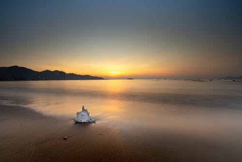 有关反射, 地平线, 夏天的免费素材图片