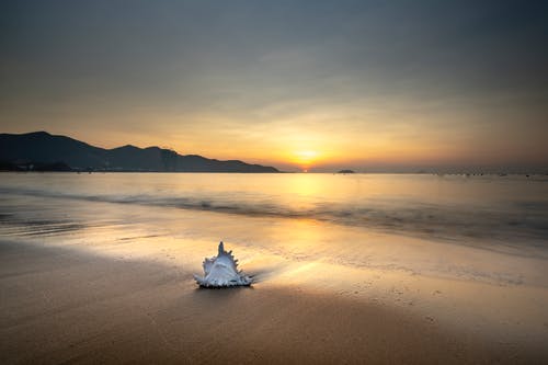 有关假期, 剪影, 地平线的免费素材图片