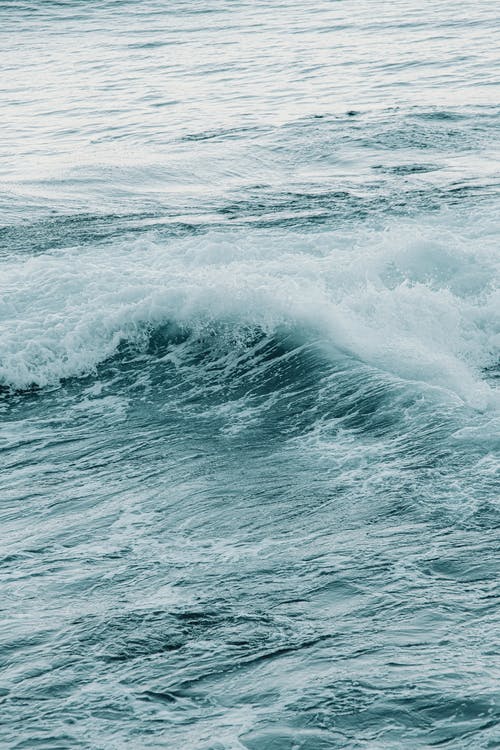 如画的风景，在白天的泡沫海浪 · 免费素材图片