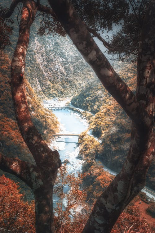 有关下午, 下落, 不均匀的的免费素材图片