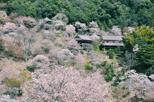 有关住宅, 冷静, 原本的免费素材图片