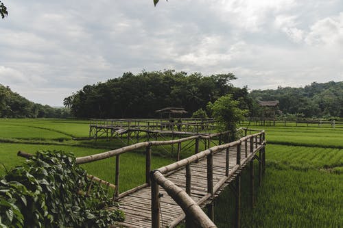 有关亚洲, 人行天桥, 传统的免费素材图片