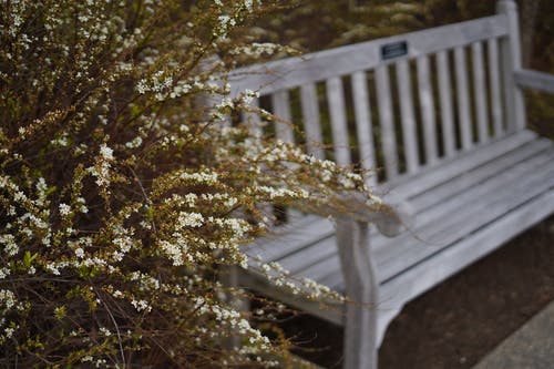 有关不均匀的, 公园, 创作的的免费素材图片