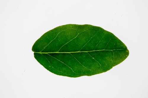 有关俯视图, 博尔多, 图案的免费素材图片