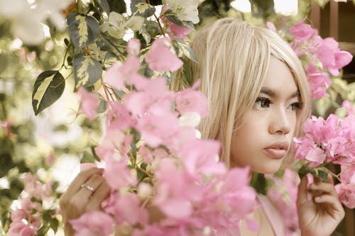 有关九重葛, 假发, 侧面图的免费素材图片