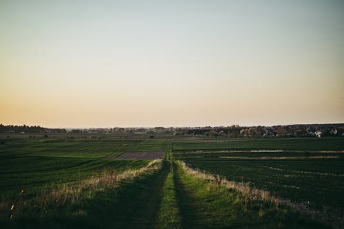 有关天性, 广大, 波兰的免费素材图片