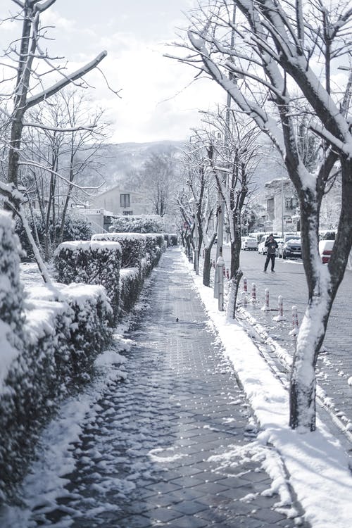 有关下雪的, 下雪的天气, 人行道的免费素材图片