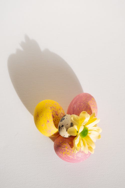 有关复活节, 复活节快乐, 柔和的色彩的免费素材图片