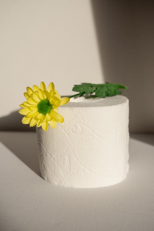 有关花, 卫生, 卫生纸的免费素材图片
