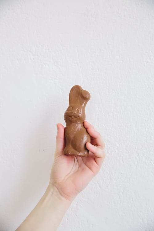 有关兔子, 可口的, 巧克力的免费素材图片
