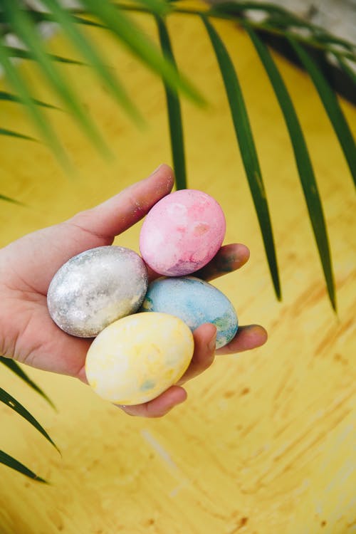 有关复活节, 复活节彩蛋, 复活节快乐的免费素材图片