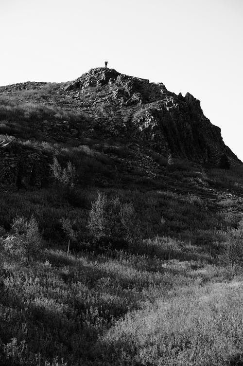 有关bw, 从下面, 假期的免费素材图片