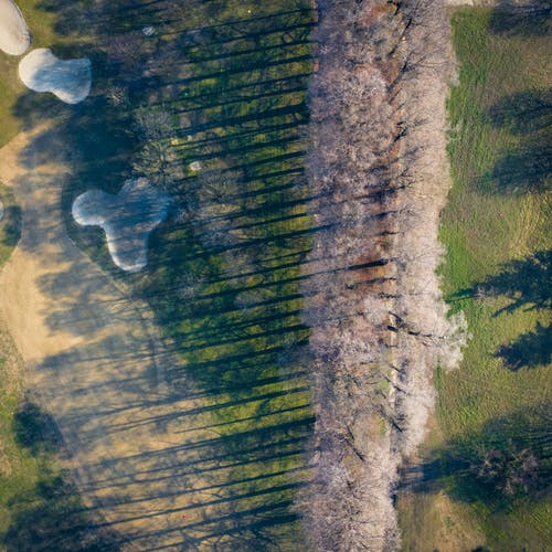 有关天性, 景观, 空中拍摄的免费素材图片