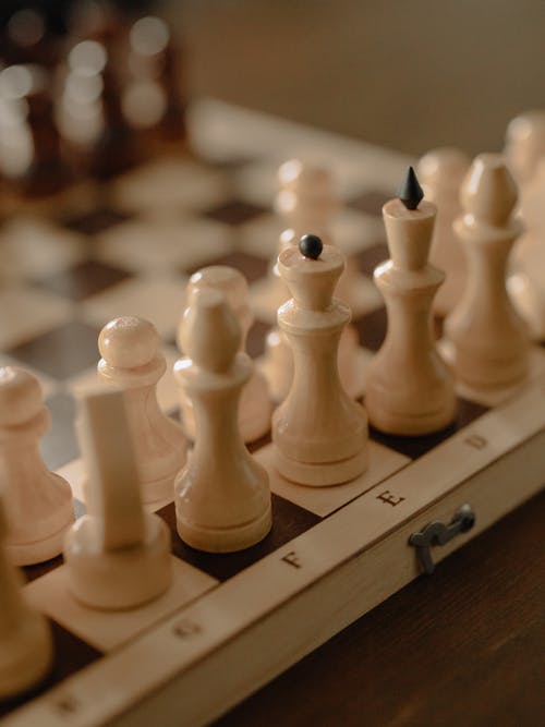 棋盘上的白色棋子 · 免费素材图片