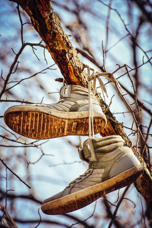 有关从下面, 传统, 公园的免费素材图片