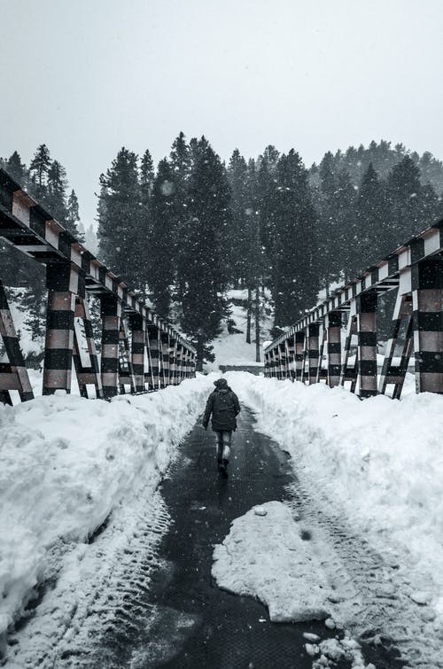 有关下雪, 下雪的, 冬季的免费素材图片