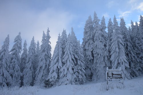 有关ICEE, 下雪的天气, 冬季的免费素材图片