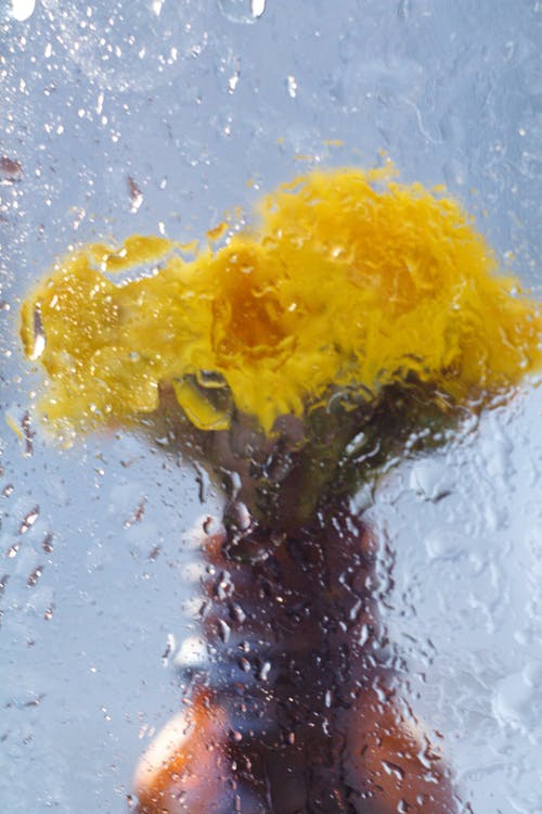 有关一串, 假日, 充满活力的免费素材图片