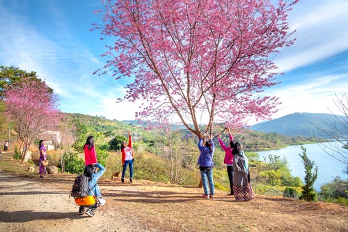 有关增长, 天性, 女性的免费素材图片