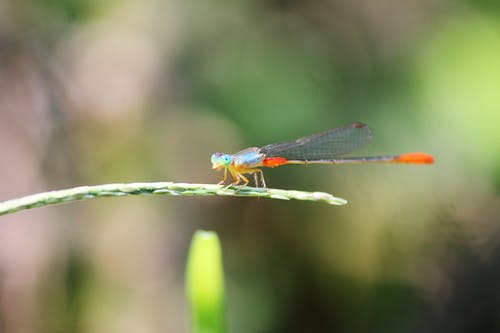 有关側面圖, 公園, 冷靜的免费素材图片