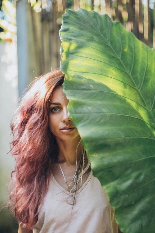 有关优雅, 内容, 冷静的免费素材图片