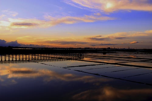 有关充满活力, 全景, 农艺学的免费素材图片