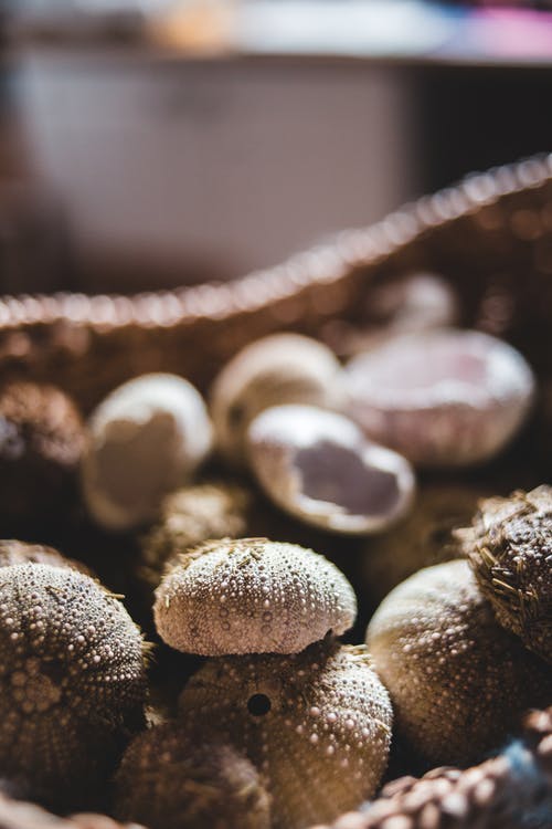 有关不均匀的, 乾的, 什锦的的免费素材图片