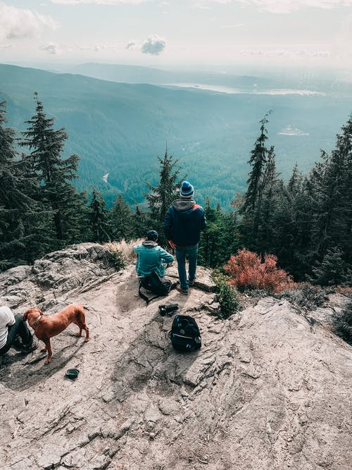 组的徒步旅行者与狗在山顶上休息 · 免费素材图片