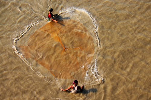 有关一起, 不露面, 伸出援手的免费素材图片
