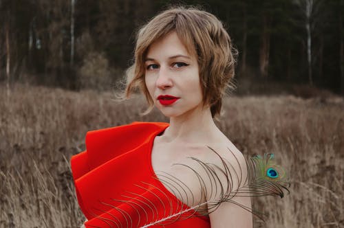 有关亲切, 优雅, 个性的免费素材图片