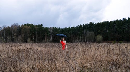 有关亲切, 优雅, 优雅的免费素材图片