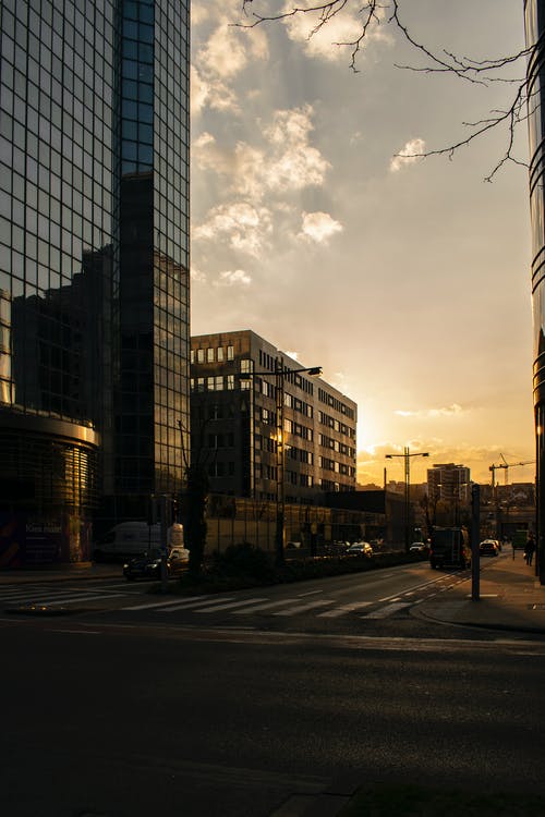 有关乾的, 印记, 叶儿的免费素材图片